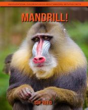 Mandrill! An Educational Children'S Book About Mandrill With Fun Facts
