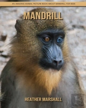 Mandrill