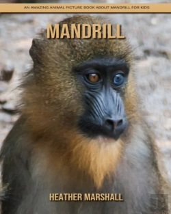 Bertrand.pt - Mandrill
