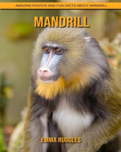 Bertrand.pt - Mandrill