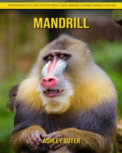 Bertrand.pt - Mandrill