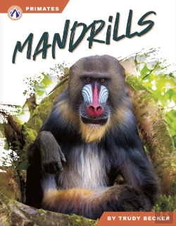 Bertrand.pt - Mandrills