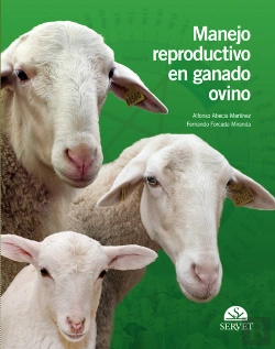 Bertrand.pt - Manejo Reproductivo En Ganado Ovino
