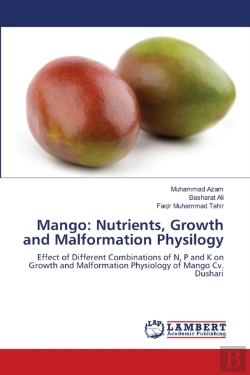 Bertrand.pt - Mango