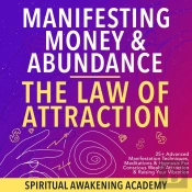 Manifesting Money & Abundance Blueprint- The Law Of Attraction