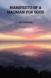 Manifesto Of A Madman For Good