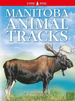 Bertrand.pt - Manitoba Animal Tracks