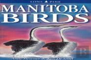 Manitoba Birds