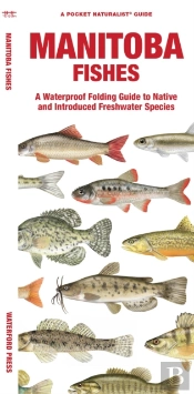 Manitoba Fishes