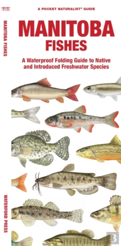 Bertrand.pt - Manitoba Fishes