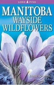 Manitoba Wayside Wildflowers