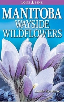 Bertrand.pt - Manitoba Wayside Wildflowers