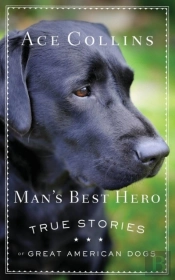 Man'S Best Hero