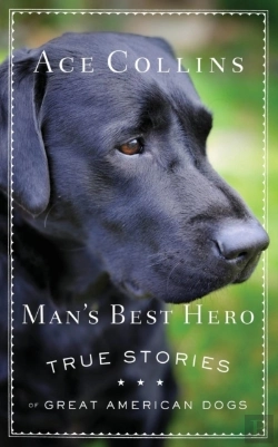 Bertrand.pt - Man'S Best Hero