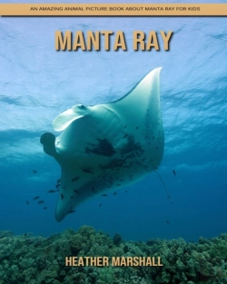 Bertrand.pt - Manta Ray