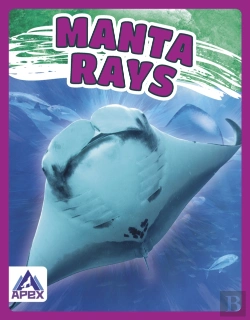 Bertrand.pt - Manta Rays