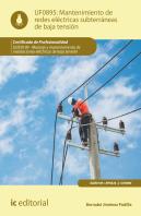 Mantenimiento Redes Electricas Subterraneas De Baja Tension