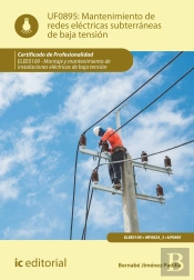Mantenimiento Redes Electricas Subterraneas De Baja Tension