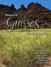 Manual Of Grasses For North America