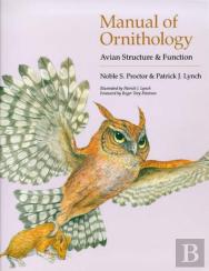 Manual Of Ornithology