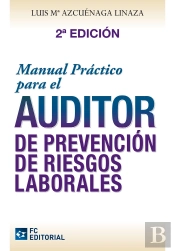 Manual Práctico Para El Auditor De Prevención De Riesgos Laborales