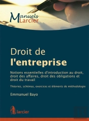 Manuel De Droit De L'Entreprise