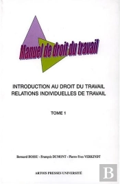Manuel De Droit Du Travail ; Introduction Au Droit Du Travail Et Relations Individuelles De Travail