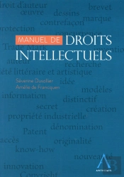 Manuel De Droits Intellectuels
