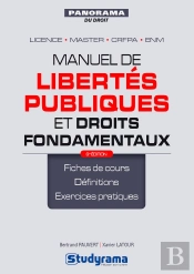 Manuel De Libertes Publiques Et Droits Fondamentaux