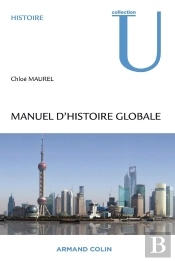 Manuel D'Histoire Globale ; Comprendre Le 'Global Turn' Des Sciences Humaines