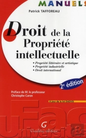 Manuel Dt De La Propriete Intellectuelle