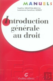 Manuel Introduction Au Droit Et Droit Ci