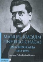 Manuel Joaquim Pinheiro Chagas, Uma Biografia (1842-1895)