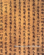 Manuscripts Of The Silk Road