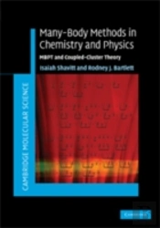 Many-Body Methods In Chemistry And Physics