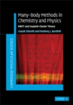 Bertrand.pt - Many-Body Methods In Chemistry And Physics