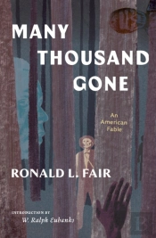 Many Thousand Gone: An American Fable