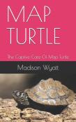 Map Turtle