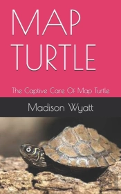Map Turtle