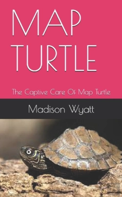 Bertrand.pt - Map Turtle