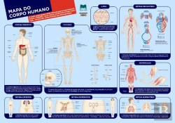 Bertrand.pt - Mapa do Corpo Humano