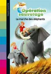 Marche Des Elephants N2
