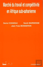 Marche Du Travail Et Competitivite En Afrique Subsaharienne
