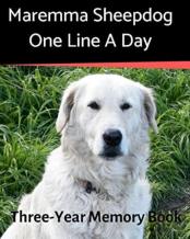 Maremma Sheepdog - One Line A Day