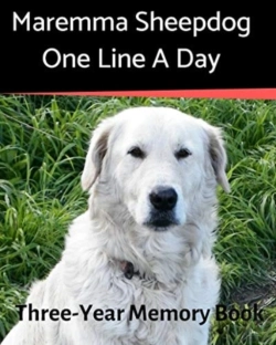 Bertrand.pt - Maremma Sheepdog - One Line A Day