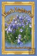 Marfa Lights Out