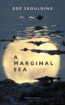 Bertrand.pt - Marginal Sea