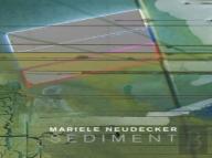Mariele Neudecker - Sediment
