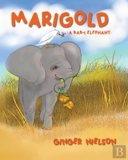 Bertrand.pt - Marigold A Baby Elephant