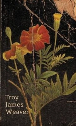 Bertrand.pt - Marigold